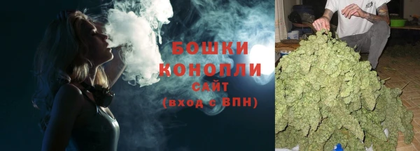 ALPHA PVP Горнозаводск