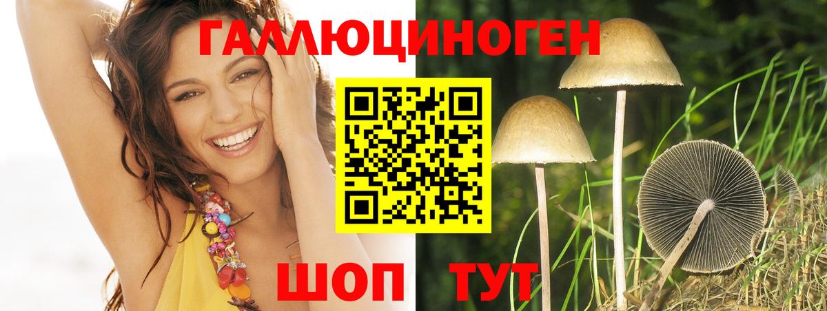 Псилоцибиновые грибы Magic Shrooms  Благодарный 