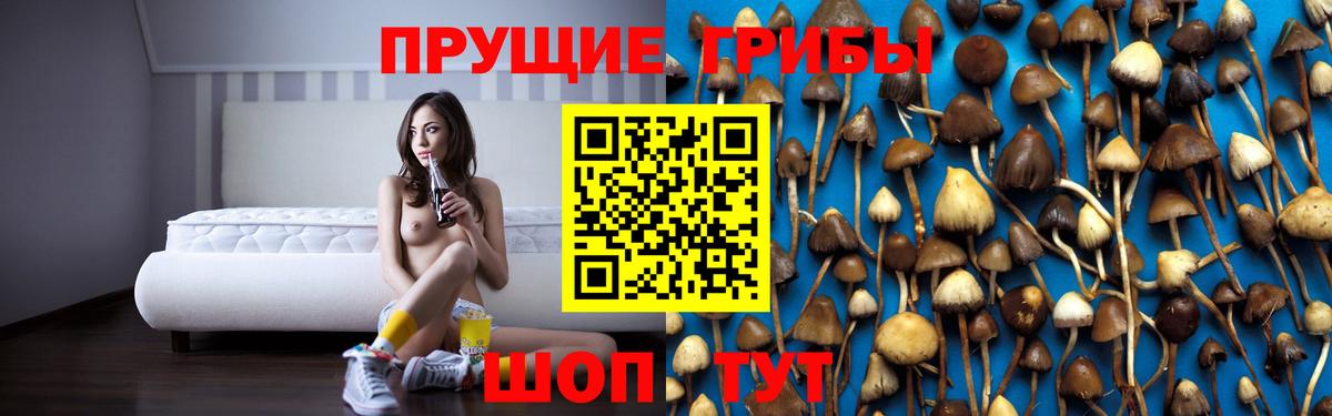 Благодарный  Галлюциногенные грибы Cubensis  Вход с VPN 