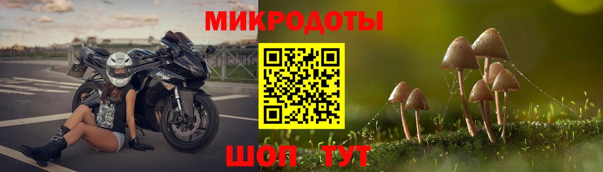 Галлюциногенные грибы Psilocybine cubensis Благодарный