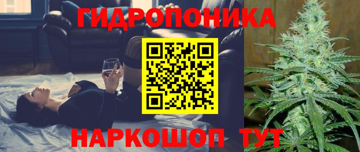 Конопля Благодарный